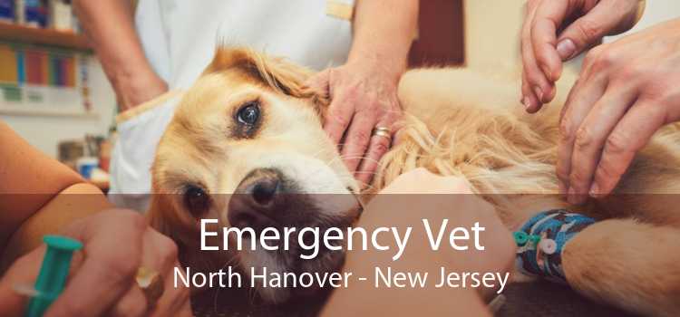 Emergency Vet North Hanover - New Jersey