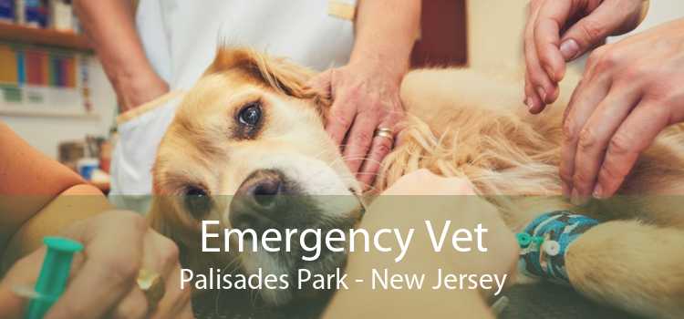 Emergency Vet Palisades Park - New Jersey