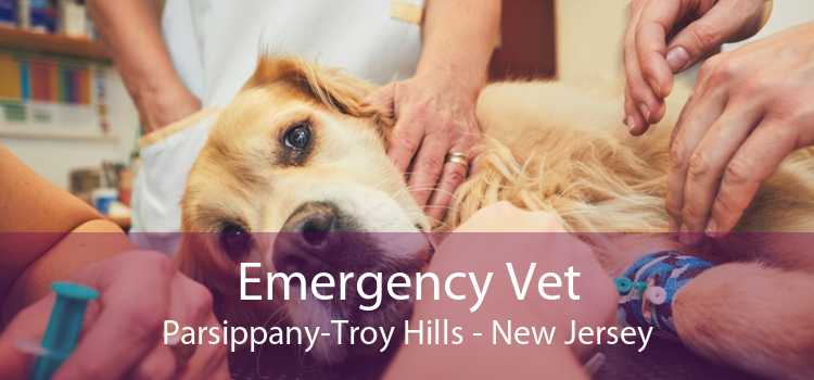 Emergency Vet Parsippany-Troy Hills - New Jersey