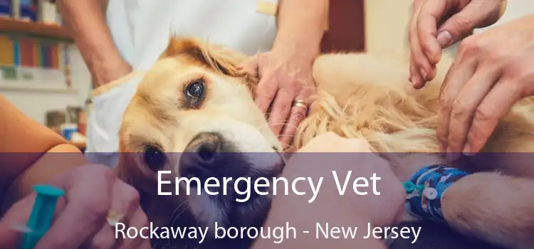 Emergency Vet Rockaway borough - New Jersey
