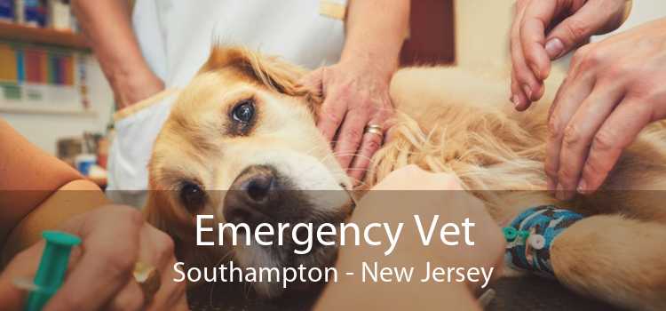 Emergency Vet Southampton - New Jersey