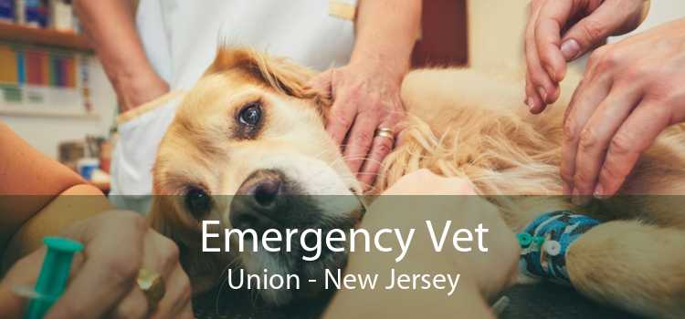 Emergency Vet Union - New Jersey