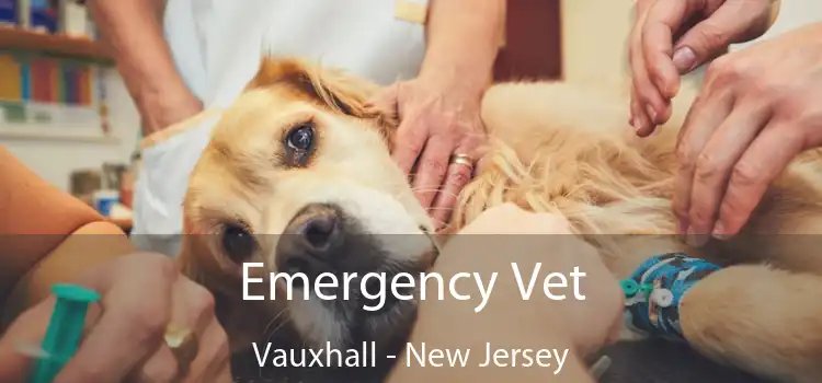 Emergency Vet Vauxhall - New Jersey