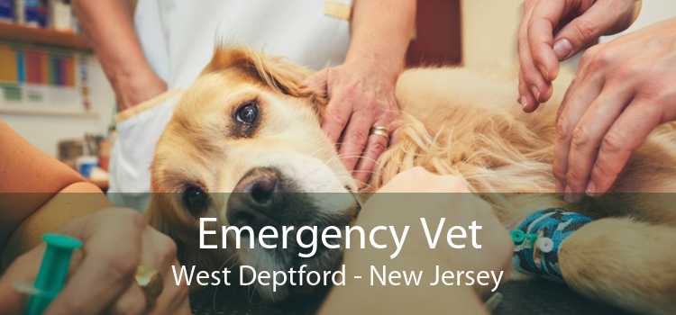 Emergency Vet West Deptford - New Jersey