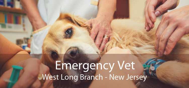Emergency Vet West Long Branch - New Jersey