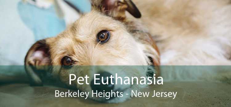 Pet Euthanasia Berkeley Heights - New Jersey