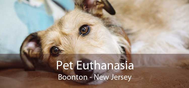 Pet Euthanasia Boonton - New Jersey