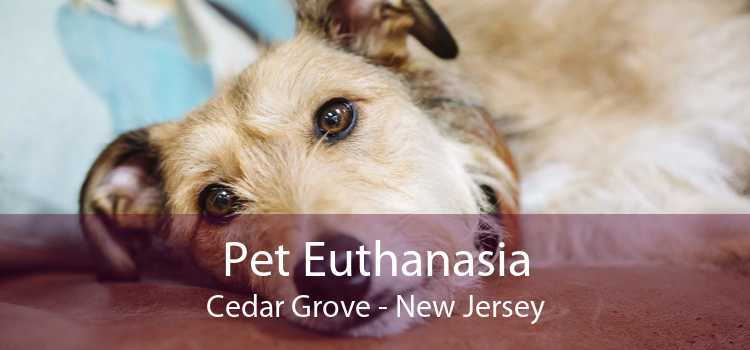 Pet Euthanasia Cedar Grove - New Jersey