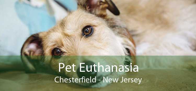 Pet Euthanasia Chesterfield - New Jersey