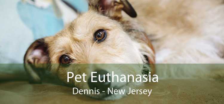 Pet Euthanasia Dennis - New Jersey