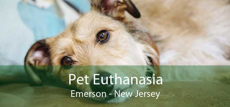 Pet Euthanasia Emerson - New Jersey