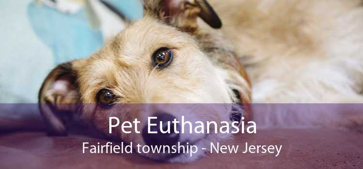 Pet Euthanasia Fairfield township - New Jersey