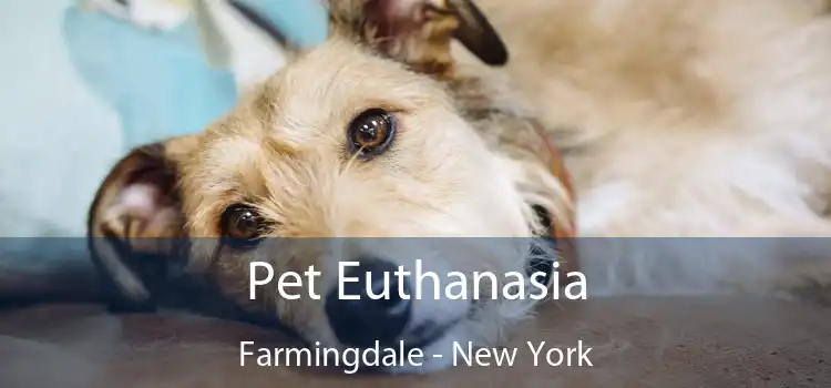 Pet Euthanasia Farmingdale - New York