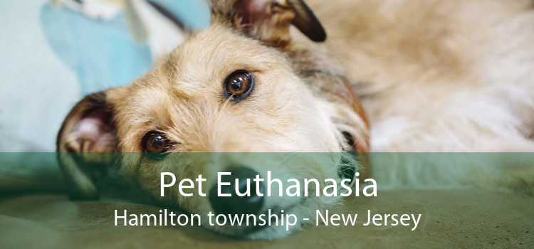 Pet Euthanasia Hamilton township - New Jersey