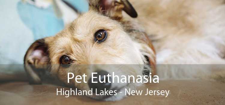 Pet Euthanasia Highland Lakes - New Jersey