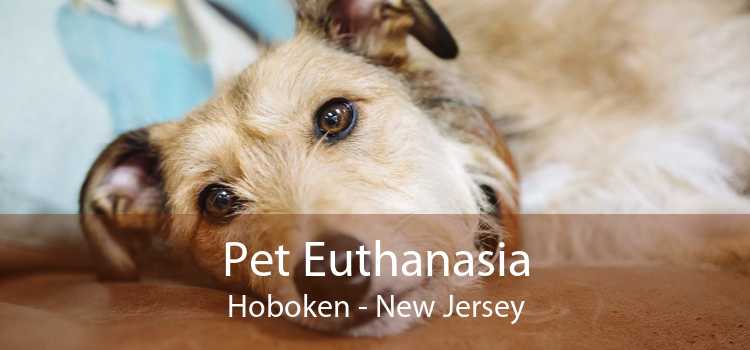 Pet Euthanasia Hoboken - New Jersey