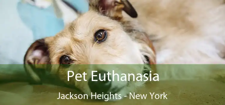 Pet Euthanasia Jackson Heights - New York