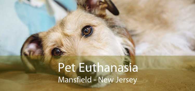 Pet Euthanasia Mansfield - New Jersey