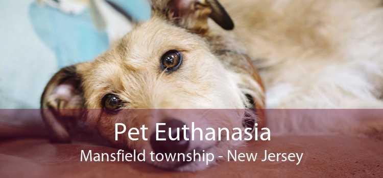 Pet Euthanasia Mansfield township - New Jersey