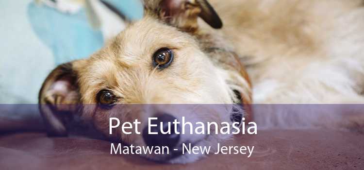 Pet Euthanasia Matawan - New Jersey