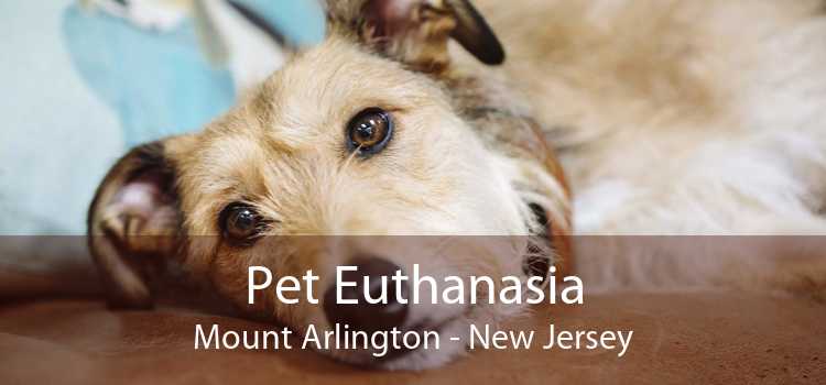 Pet Euthanasia Mount Arlington - New Jersey