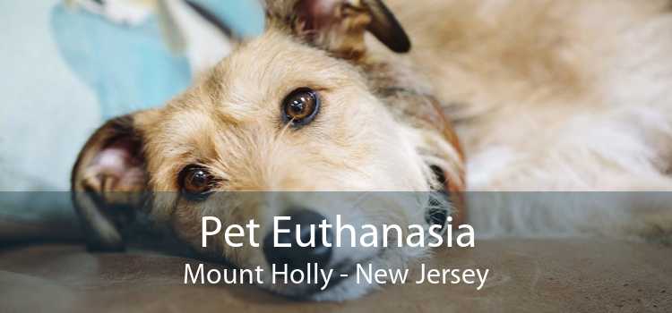 Pet Euthanasia Mount Holly - New Jersey
