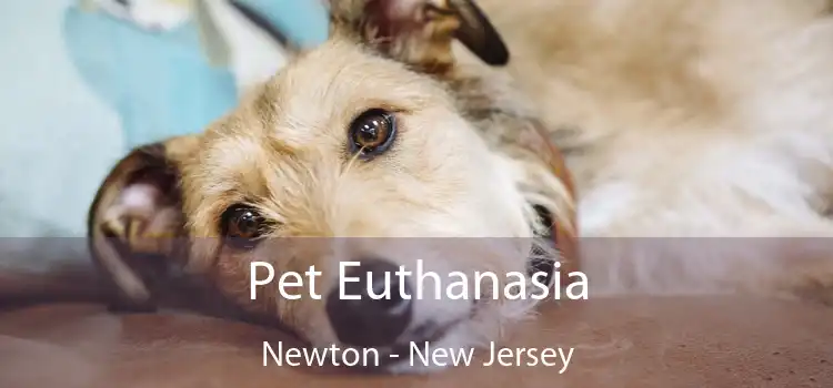 Pet Euthanasia Newton - New Jersey