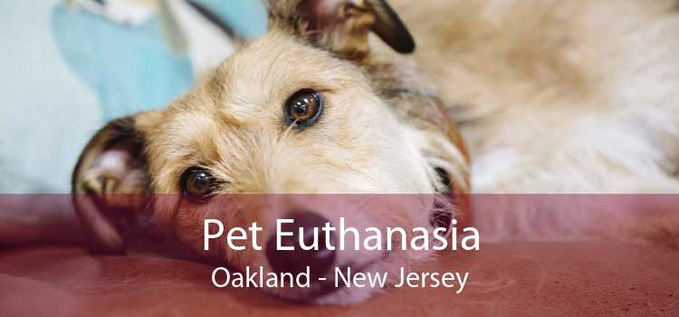 Pet Euthanasia Oakland - New Jersey
