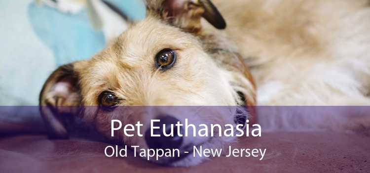 Pet Euthanasia Old Tappan - New Jersey