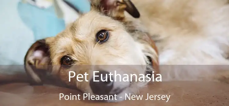 Pet Euthanasia Point Pleasant - New Jersey
