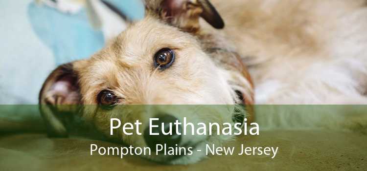 Pet Euthanasia Pompton Plains - New Jersey