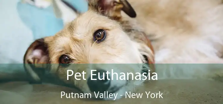 Pet Euthanasia Putnam Valley - New York