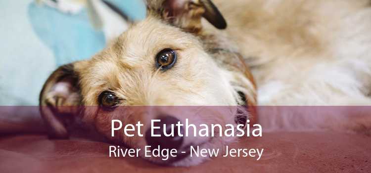 Pet Euthanasia River Edge - New Jersey