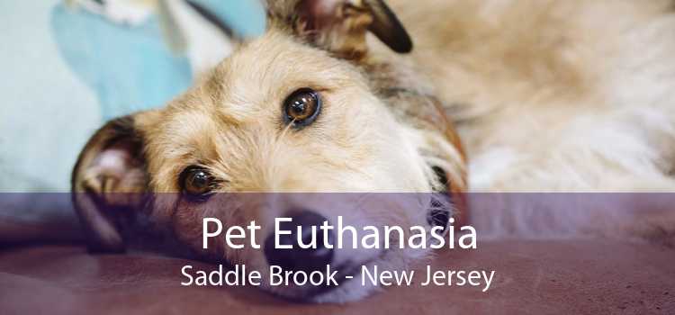 Pet Euthanasia Saddle Brook - New Jersey