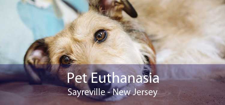 Pet Euthanasia Sayreville - New Jersey