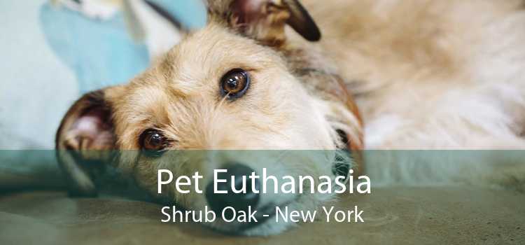Pet Euthanasia Shrub Oak - New York
