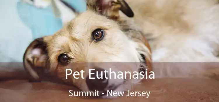 Pet Euthanasia Summit - New Jersey