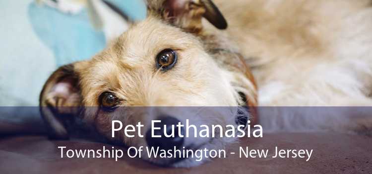 Pet Euthanasia Township Of Washington - New Jersey