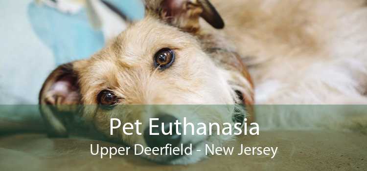 Pet Euthanasia Upper Deerfield - New Jersey