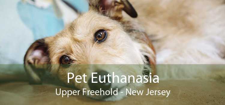 Pet Euthanasia Upper Freehold - New Jersey