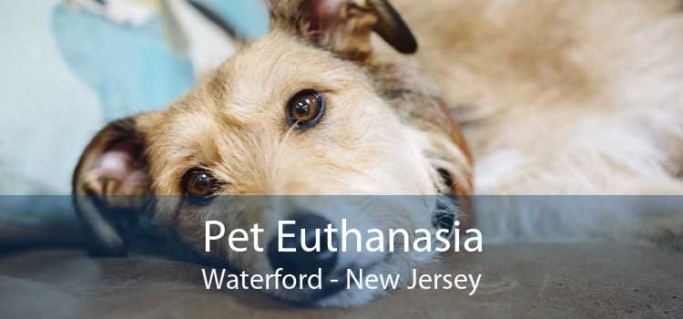 Pet Euthanasia Waterford - New Jersey