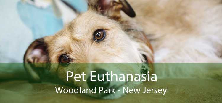 Pet Euthanasia Woodland Park - New Jersey