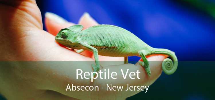 Reptile Vet Absecon - New Jersey
