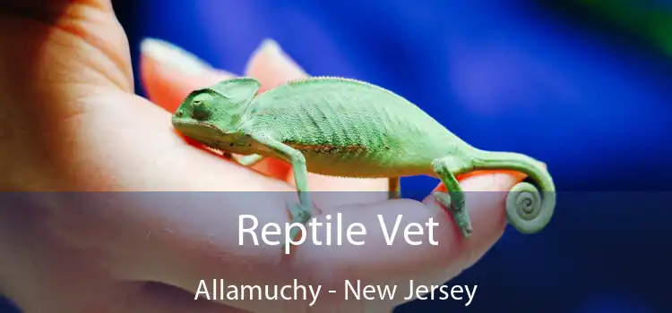 Reptile Vet Allamuchy - New Jersey