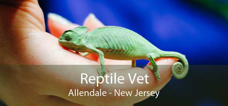 Reptile Vet Allendale - New Jersey