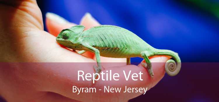 Reptile Vet Byram - New Jersey