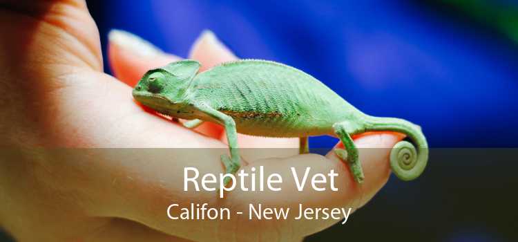 Reptile Vet Califon - New Jersey