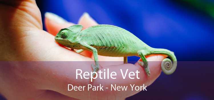 Reptile Vet Deer Park - New York