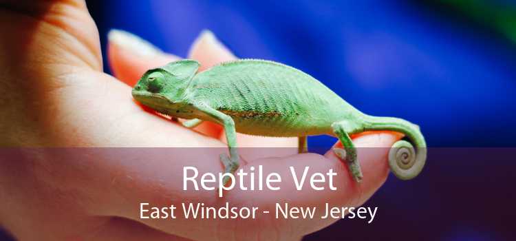 Reptile Vet East Windsor - New Jersey