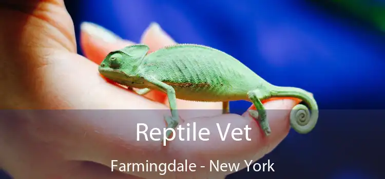 Reptile Vet Farmingdale - New York